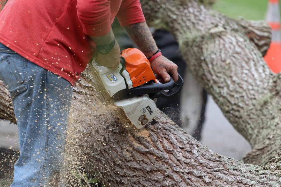 Vad tjänar en Arborist i lön 2023?